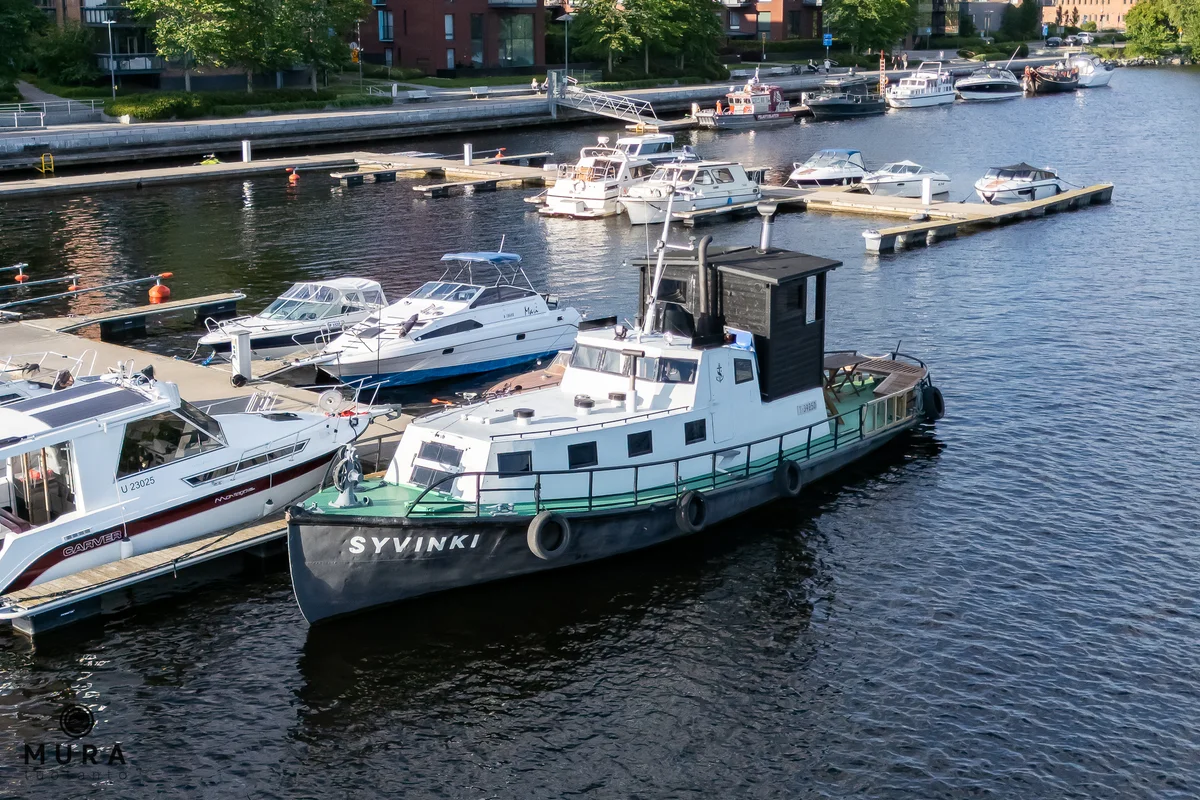 Syvinki